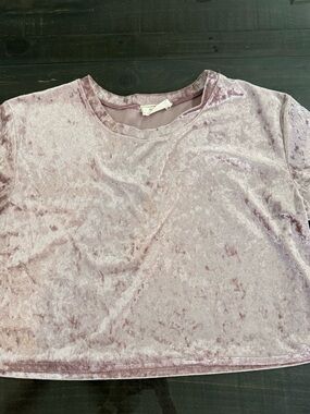Crushed Velvet Crop Top in Lavender - Women